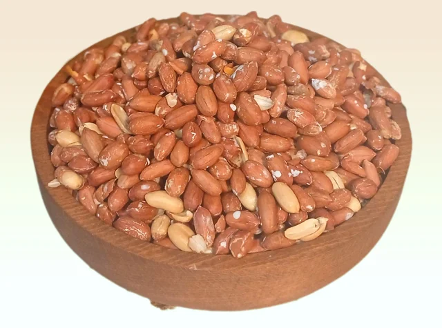 بادام زمینی استانه